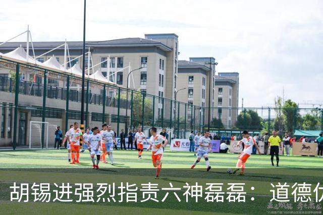 胡锡进强烈指责六神磊磊：道德优越感与公共价值观的偏离